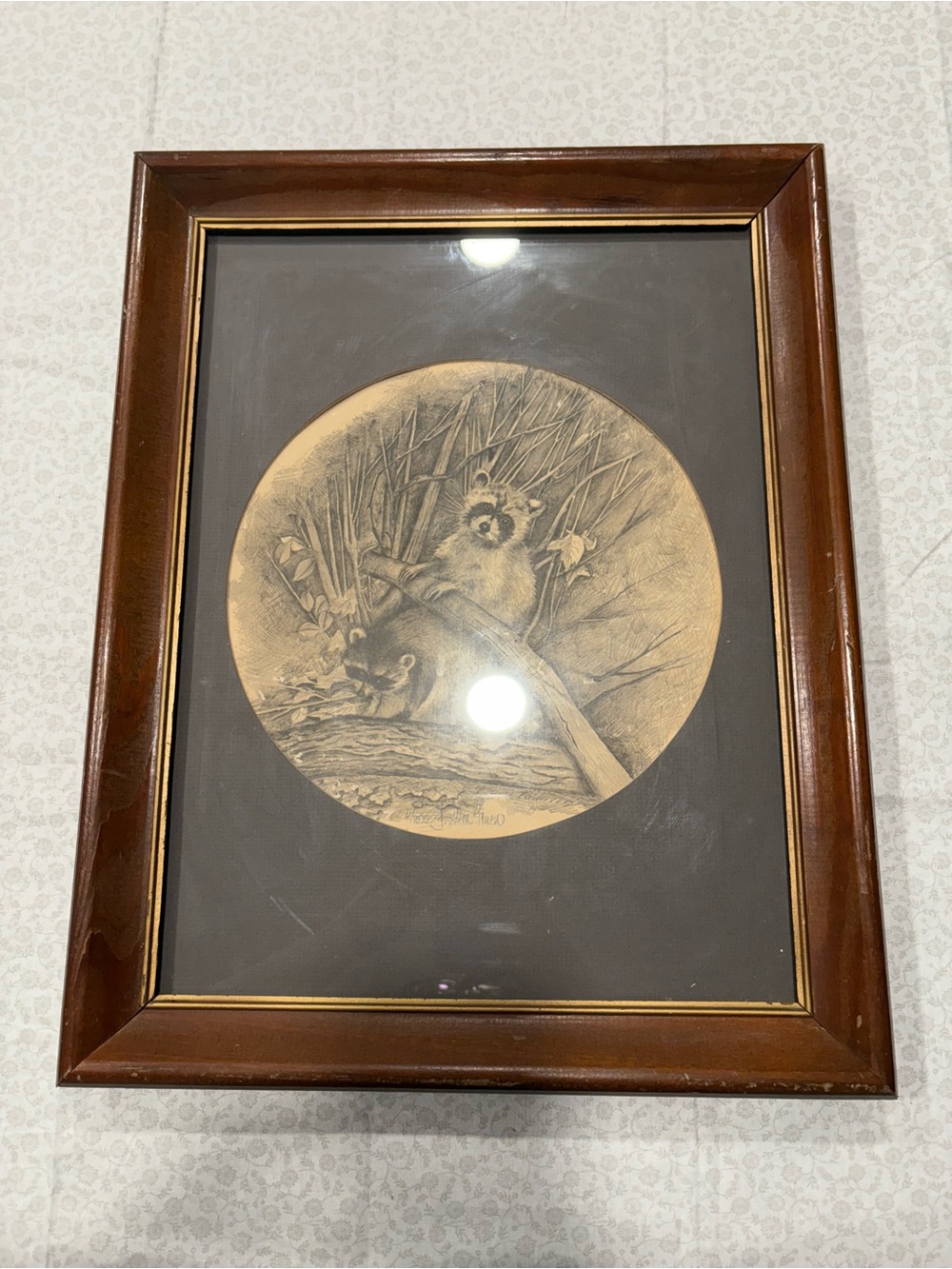 J. Allen True Signed Wildlife Art Print 41/1000 Framed Raccoons Sketch Vintage